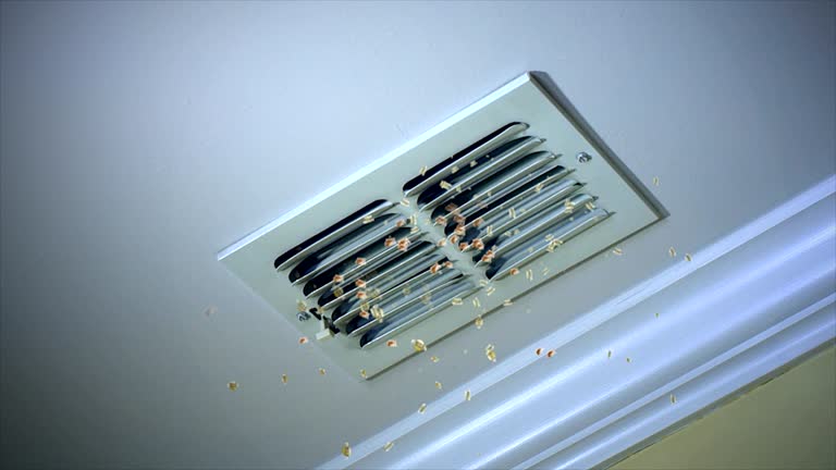 Best HVAC Air Duct Cleaning  in Jim Thorpe, PA
