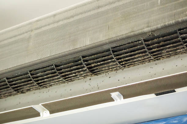 Best Affordable HVAC Duct Cleaning  in Jim Thorpe, PA