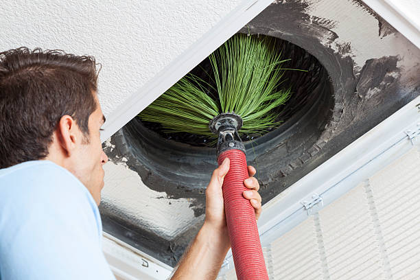 Air Duct Mold Removal in Jim Thorpe, PA